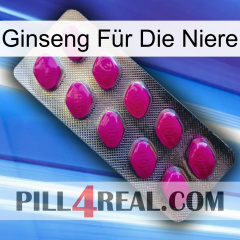 Ginseng Für Die Niere 09